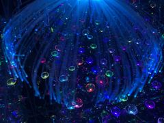 -深圳独角兽星空艺术馆