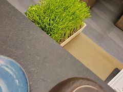 活体豆苗-湊湊火锅·茶憩(打浦桥日月光店)