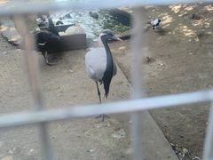 -水绘园