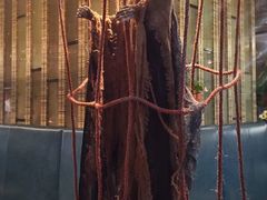 -富力希尔顿酒店·地阔自助餐厅