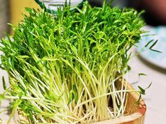 -阳坊胜利涮羊肉(阳坊总店)