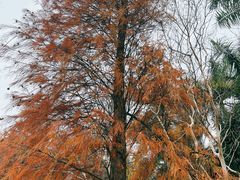 -华南师范大学(广州大学城校区)