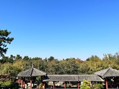 -中国唐苑