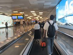 -郑州新郑国际机场-T2航站楼