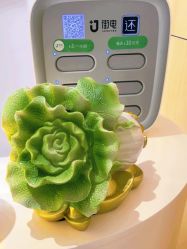 -康美贞·痘肌养护管理中心