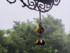 -稻香湖公园