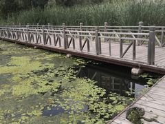 -长白岛森林公园