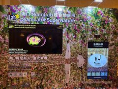 -澳门威尼斯人综合度假区