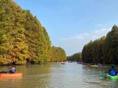 -上海海湾国家森林公园