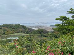 -广州莲花山旅游区