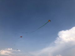 -哈尔滨大剧院