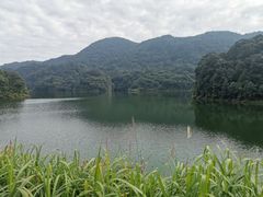 -广州市石门国家森林公园