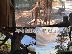 -长鹿旅游休博园