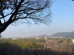 -香雪海