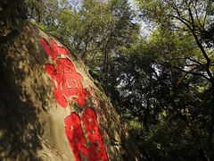 -乌山风景区