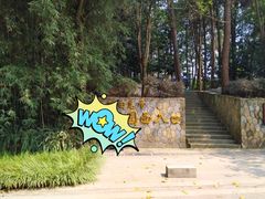 -铁山坪森林公园