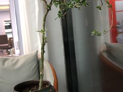 -雅玛花式铁板烧(亚运村店)