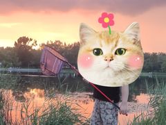 -长春市南湖公园