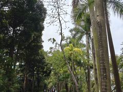 -南宁南湖公园