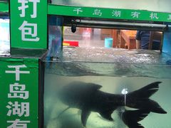 -全乐鱼馆·淳牌有机鱼直营店