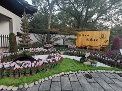 -汇龙潭