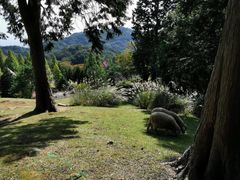 -神户市立六甲山牧场