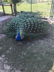 -太湖雪蚕桑文化园
