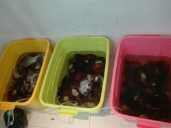 -邵老师打金·黄金加工(大望路总店)