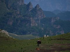 -灵山