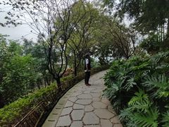 -磁器口古镇