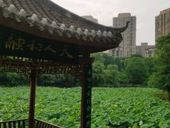 -龙头寺公园