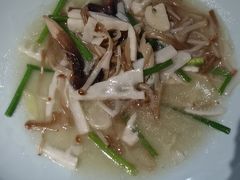 -宋小谨(惠安禹洲店)