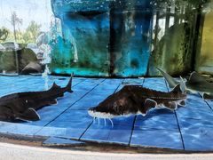 -友鹏海鲜(新宜白大道店)