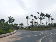 -宝安西湾红树林湿地公园