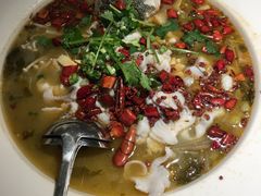 老坛酸菜鱼-渔见·精品川菜·老坛酸菜鱼(大朗店)