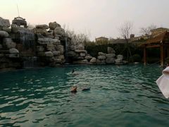 -仁爱团泊湖温泉中心