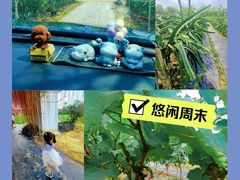 -尚果生态采摘园