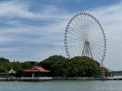 -无锡蠡湖国家湿地公园-蠡园