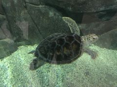 -福州罗源湾海洋世界旅游区