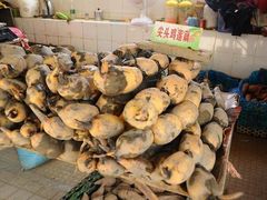 -大湾区中央湿地公园-十九涌