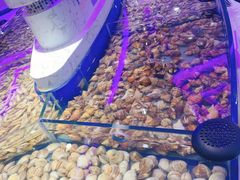 -澜悦港海鲜体验主题餐厅