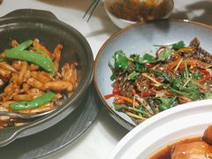 -陶陶居酒家(新天地店)