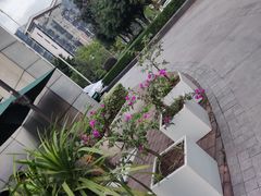 -大米先生(光电园店)