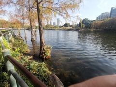 -深圳龙潭公园