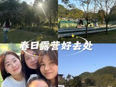 -铁山坪森林公园