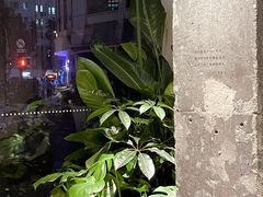 -星巴克(武康路店)