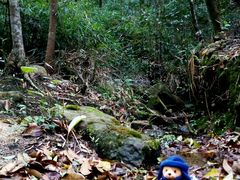 android_upload_pic-广州市石门国家森林公园