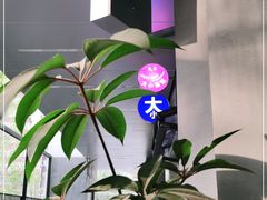 -大小咖啡 BigSmallCoffee(麦子店)