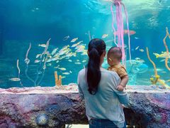 -沈阳海洋探索中心