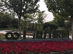 -武清南湖绿博园